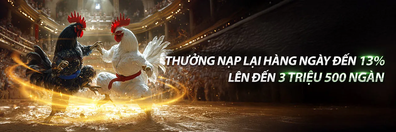 Hoàn trả cược thể thao e88